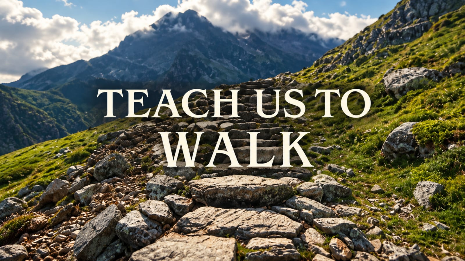 2027 Giving Commitment — Teach Us to Walk | Northern Hills UMC