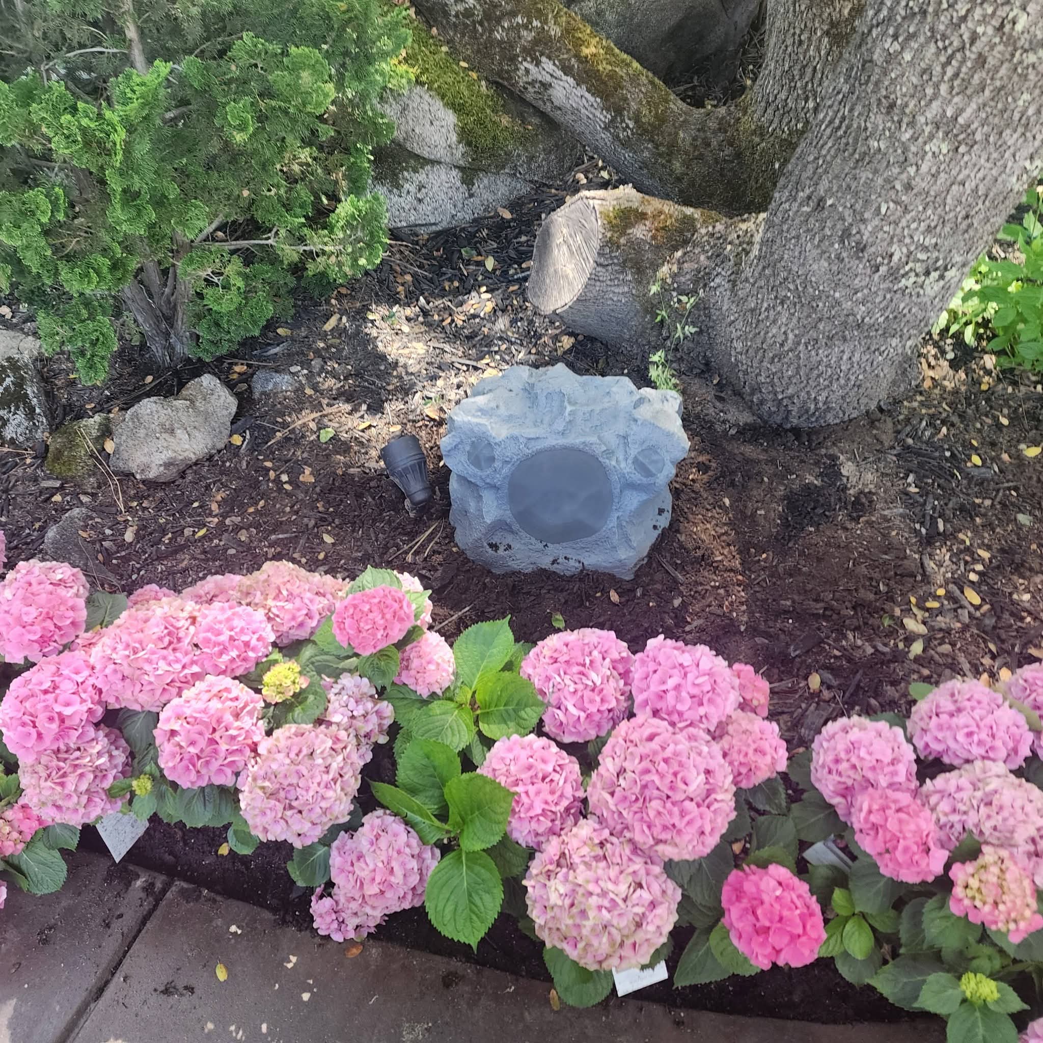 Outdoor landscape rock speaker installed by Johnston\'s Custom Home Theater