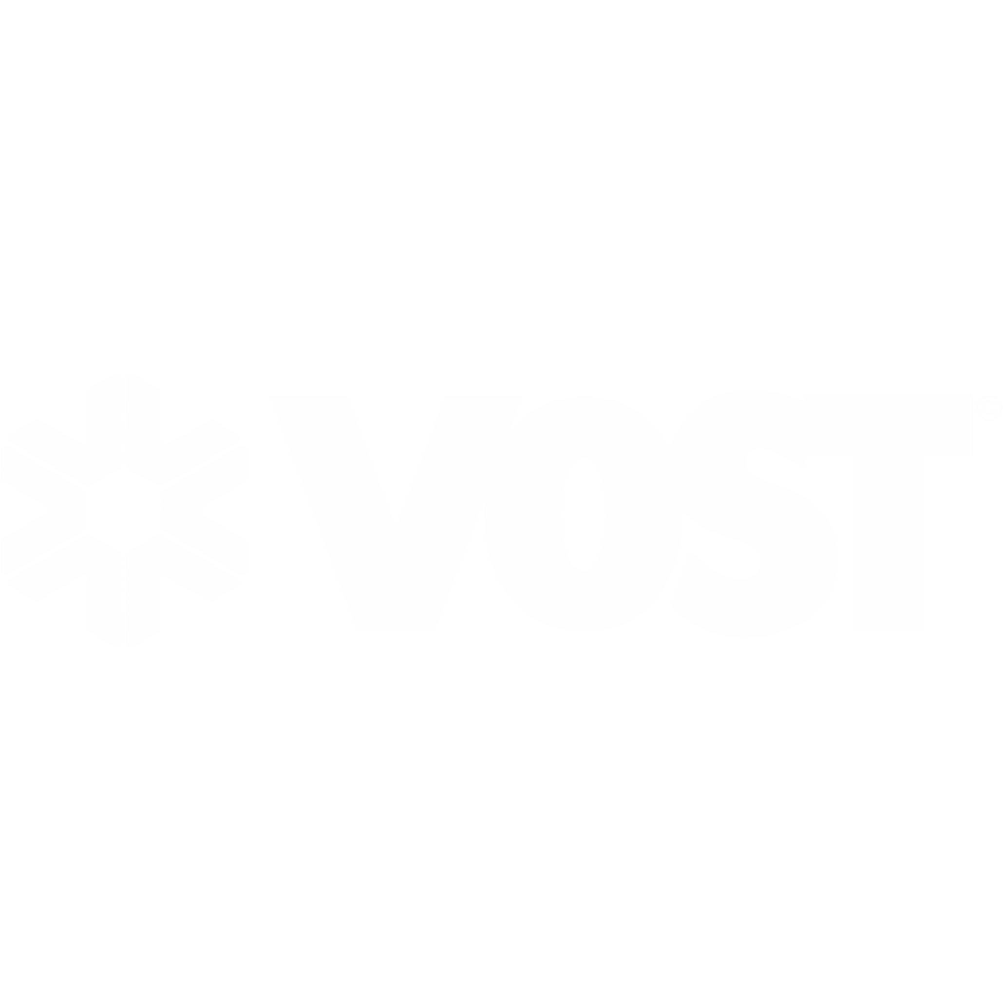 VOST logo