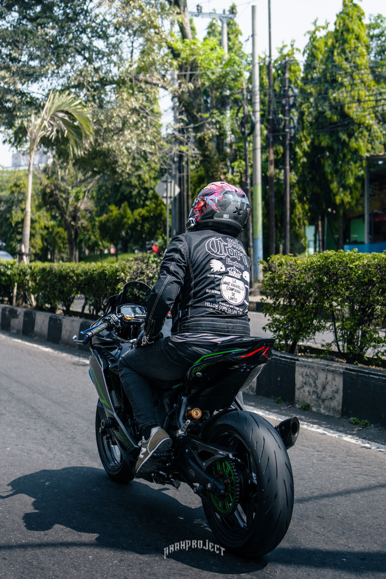 Kawasaki Ninja
