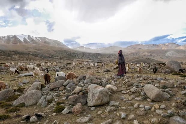 Dalai Láma: „Buddha zöld lenne” | ClimeNews - Hírportál