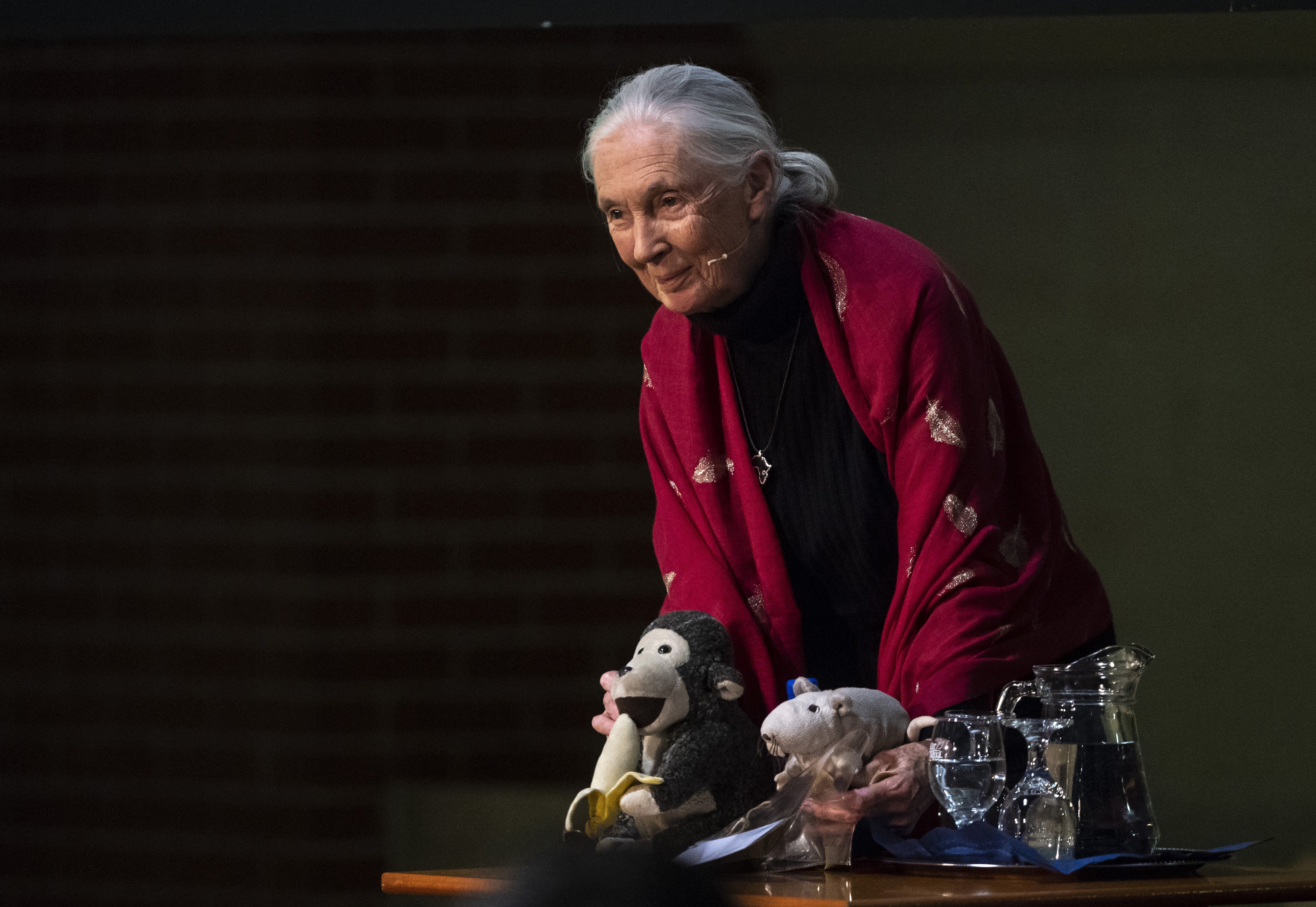 Jane Goodall előadást tart az ELTE Egyetemi Konferencia Központ Gömb aulájában 2018. május 17-én (MTI Fotó: Szigetváry Zsolt) Jane Goodall: nyomorúságos állapotban van a Föld, de most még van esélyünk változtatni | ClimeNews