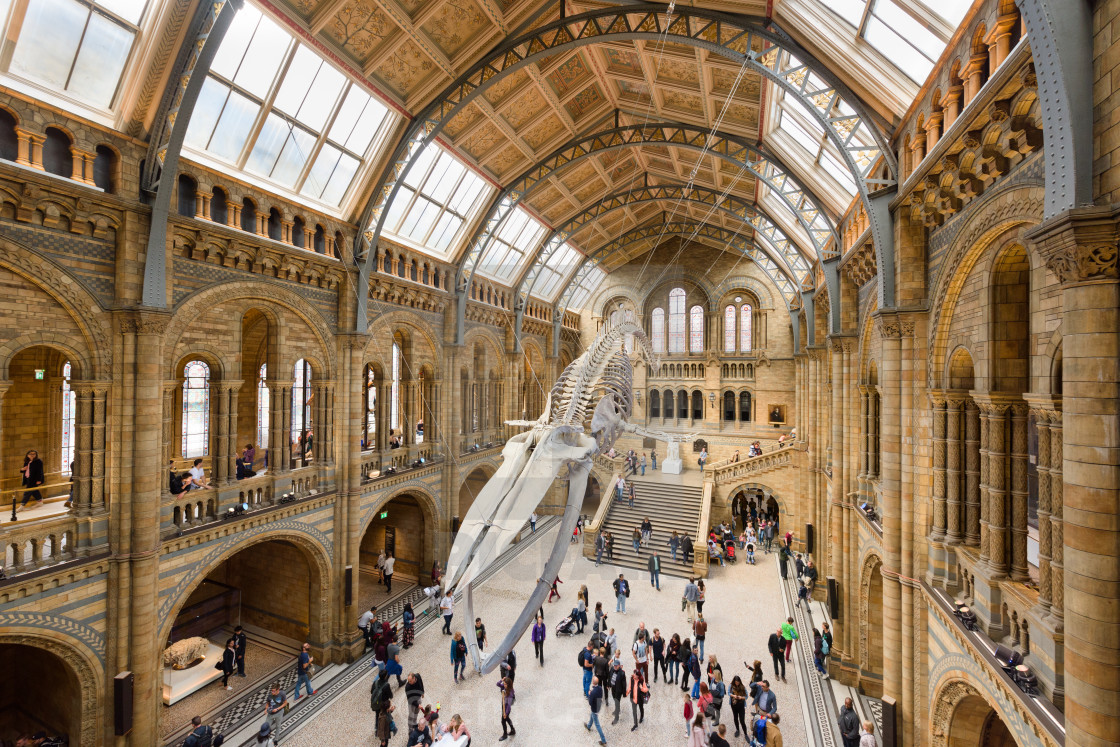 Megrázó szavak egy új korszak premierje előtt | A beszéd helyszíne, a Londoni Természettudományi Múzeum aulája - ClimeNews