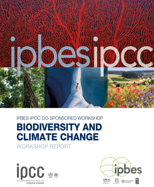 Az IPCC és az IPBES ismét figyelmen kívül hagyja a túlnépesedést