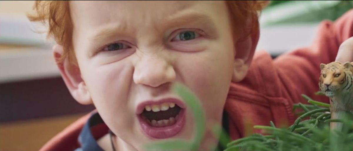 A klímaváltozásra hívja fel a figyelmet a Wild Edens új dokumentumfilm-sorozat - ClimeNews