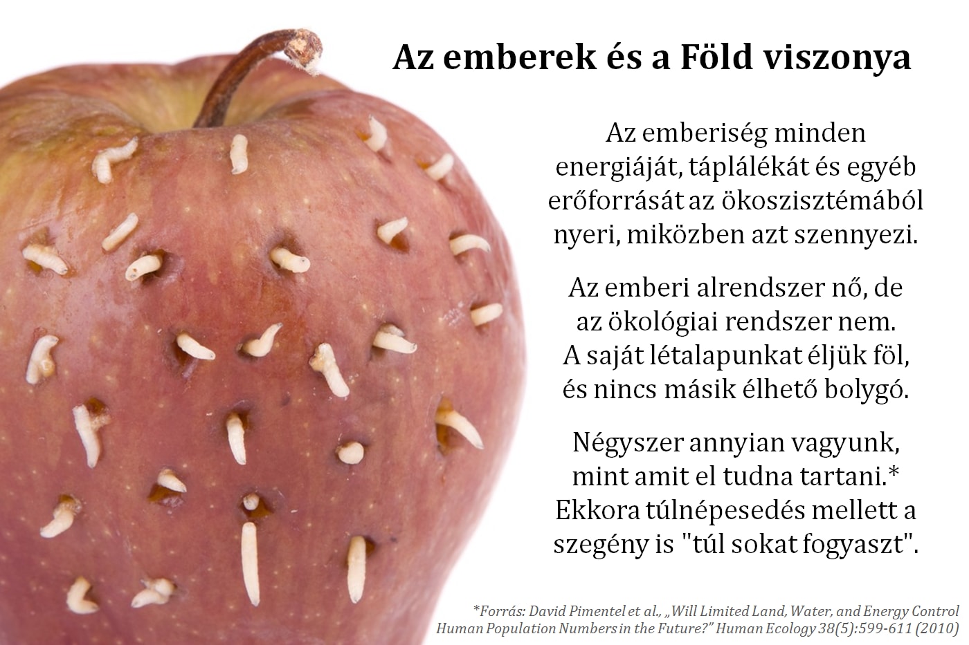 Interjú William Rees-szel, az ökolábnyom egyik megalkotójával