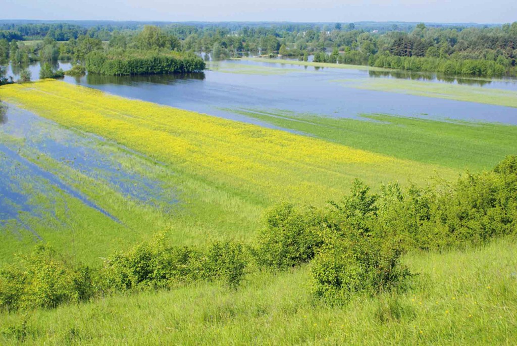 Az agrártárca csatlakozott a klímavédelmi kampányhoz | ClimeNews Az agrártárca csatlakozott a klímavédelmi kampányhoz | ClimeNews