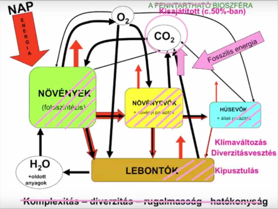 Prof. Dr. Vida Gábor - A természeti tőke beárazása | ClimeNews - Hírportál Prof. Dr. Vida Gábor - A természeti tőke beárazása | ClimeNews - Hírportál
