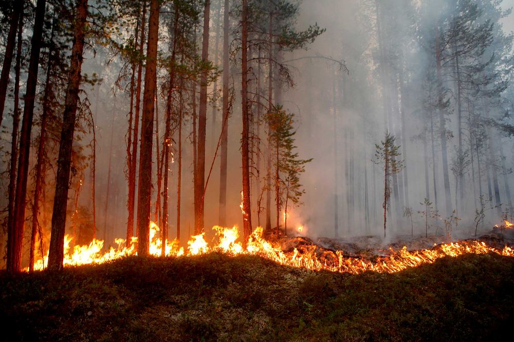 A wildfire burns in Karbole, Sweden, on July 15, 2018. Photographer: Mats Andersson/.../.... | ClimeNews - Hírportál
