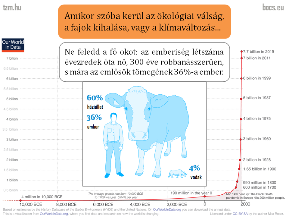 Rohadtul nem kell csodálkozni | ClimeNews - Hírportál Rohadtul nem kell csodálkozni | ClimeNews - Hírportál