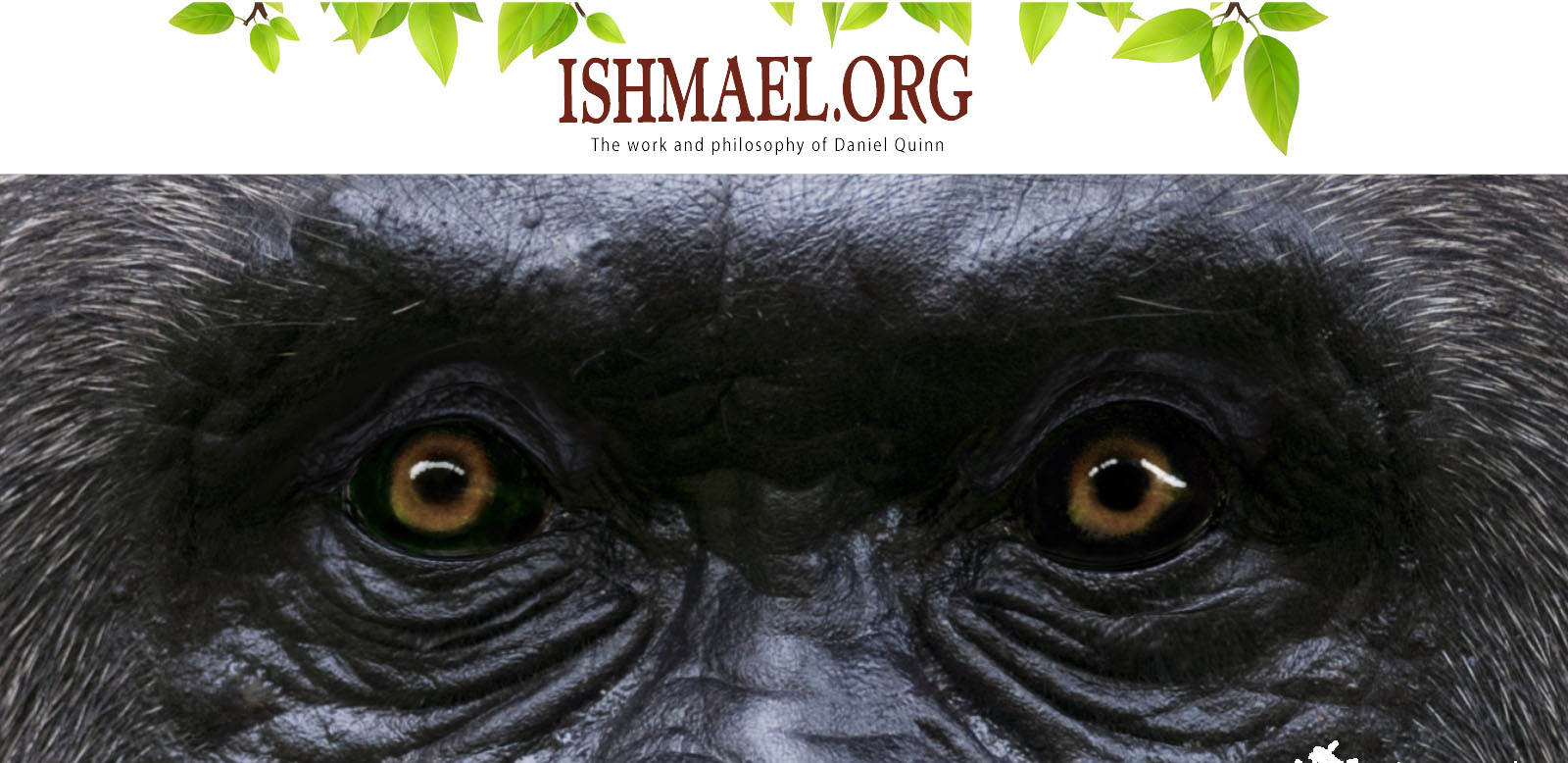 Daniel Quinn: Ishmael | ClimeNews Hírportál Daniel Quinn: Ishmael | ClimeNews Hírportál