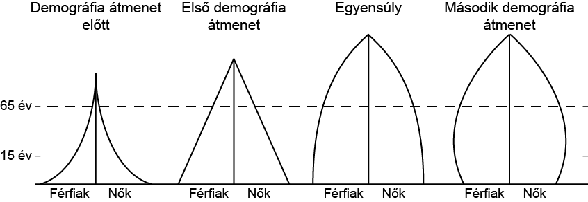 Az emberi populációk korfái | ClimeNews Az emberi populációk korfái | ClimeNews