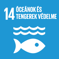 Óceánok és tengerek védelme - ClimeNews - Hírportál