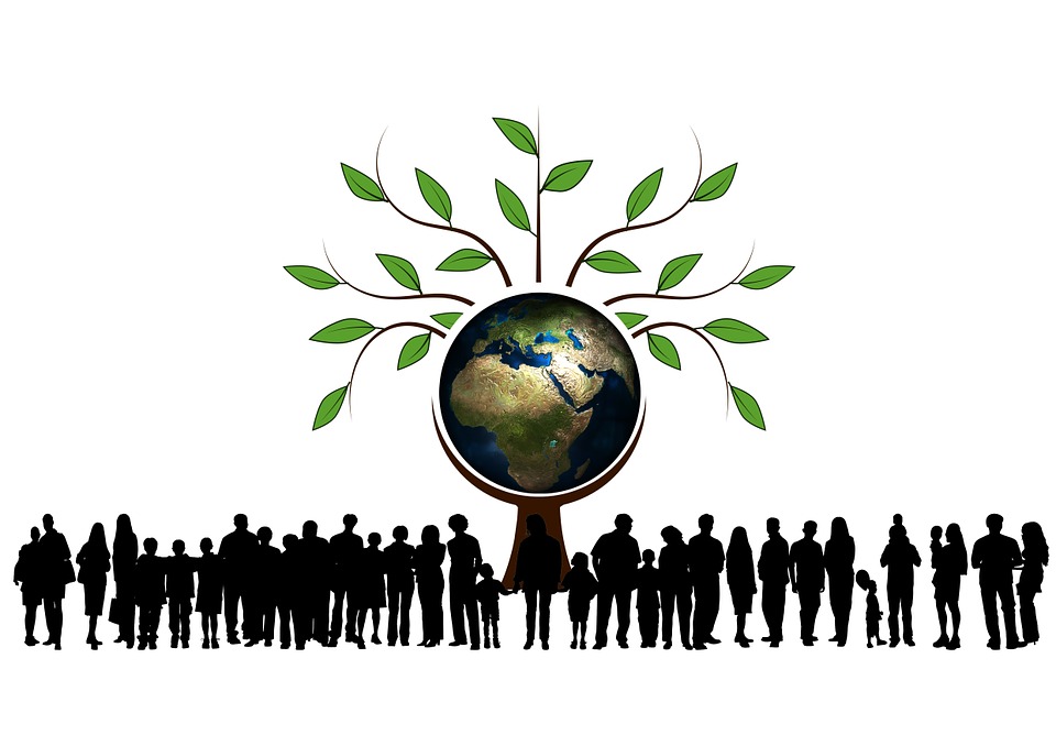 A túlnépesedési projekt | The Overpopulation Project