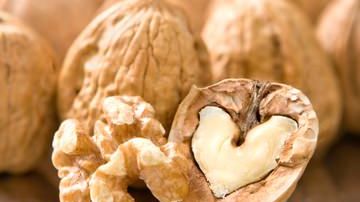 Save the Date! Upcoming Webinar with SCAN Dietary Practice Group