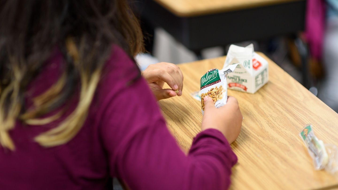 School Pilot Programs