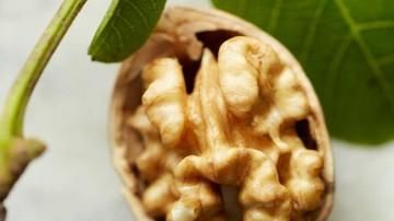 California Walnut Growers Overwhelming Support Continuation of Marketing Order