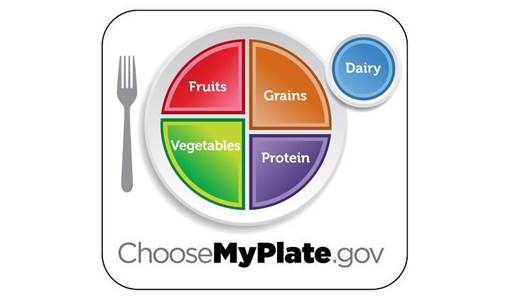 UDSA'S MyPlate