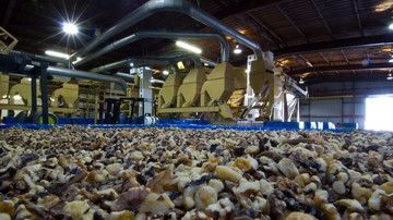 Top 8 Harvest Best Practices