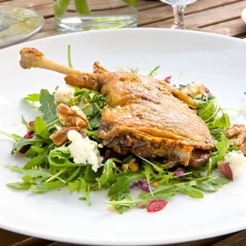 Duck Confit Salad with Arugula, Dried Cherries, Blue Cheese, and Toasted Walnut Vinaigrette Duck Confit Salad with Arugula, Dried Cherries, Blue Cheese, and Toasted Walnut Vinaigrette