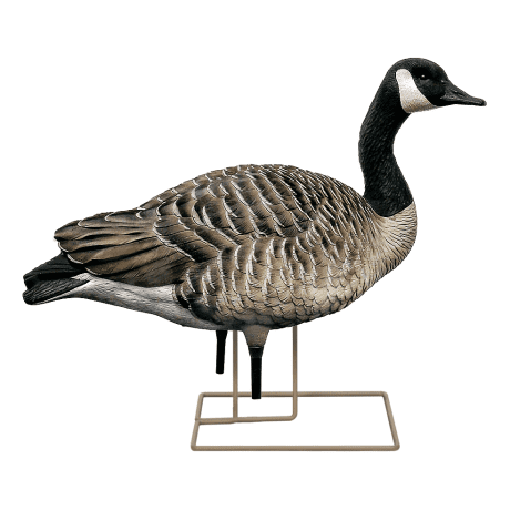 Avian-X Honker Goose Decoy Fusion Pack