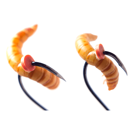 Bait Buttons - On The Hook