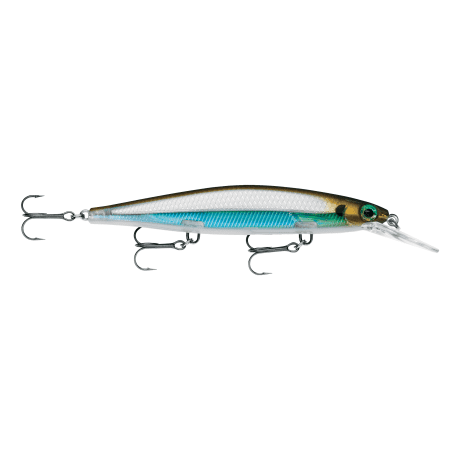 Moss Back Shiner