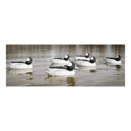 Higdon Outdoors Standard Foam-Filled Bufflehead Drake Decoys – Six-Pack - In The Field