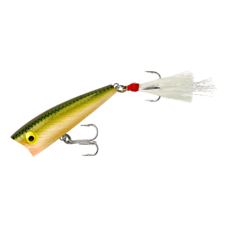 Tennessee Shad