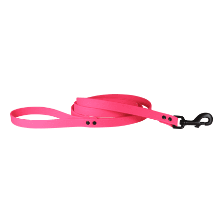 Omni Pet Zeta 6-Ft Lead - Pink