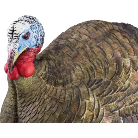Avian-X® LCD 1/2 Strut Jake Turkey Decoy