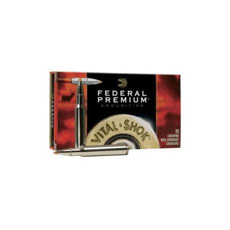 300 WSM 165 GR Ammo