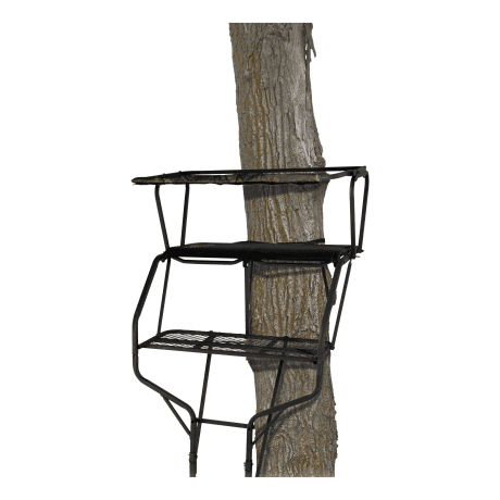Big Game Treestands The Guardian XLT Ladder Stand
