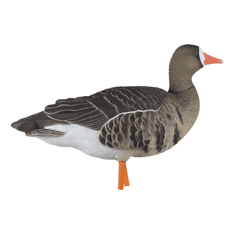 Avian-X AXP Specklebelly Fusion Pack - Walker