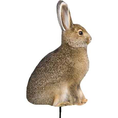 Montana Decoy Miss Hoptober Predator Decoy