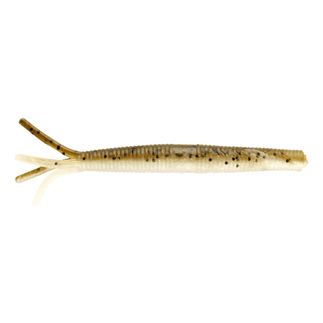 Mud Minnow