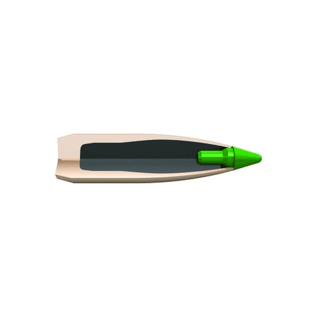 Ballistic Tip