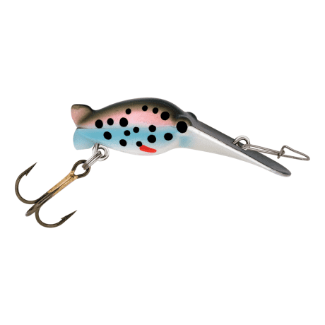 Rainbow Trout