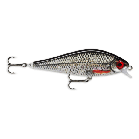 Live Roach