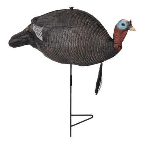 RedHead® Foam Upright Jake Turkey Decoy