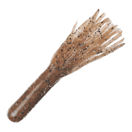 Bass Pro Shops® Tender Tubes® - Pumpkin Seed
