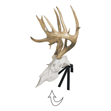 Mountain Mike's Elk & Deer Positioner