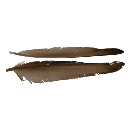 Cabela's Duck Quill - Mallard Grey