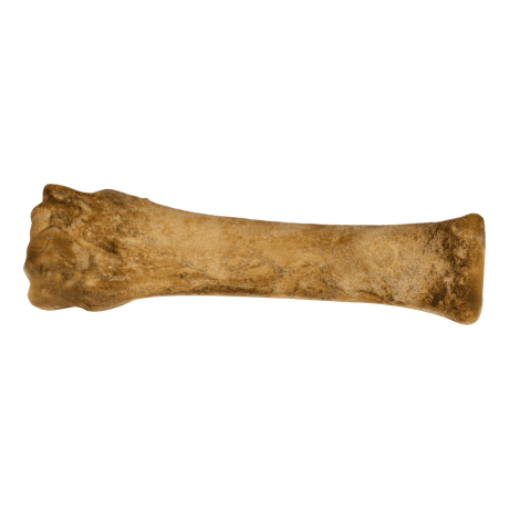 Nylabone Roast Beef Souper Chew Single Dog Treat