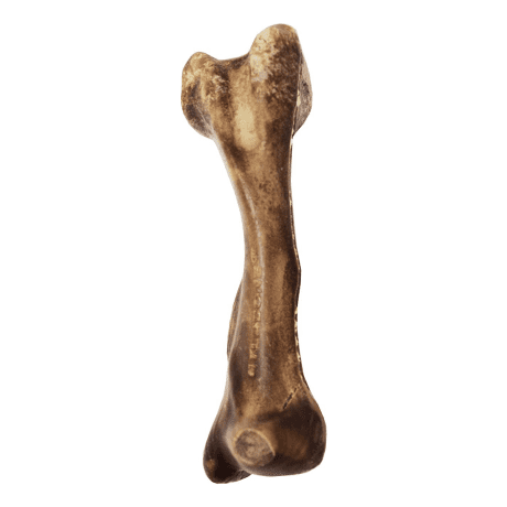 Nylabone Wild Venison Dog Treat