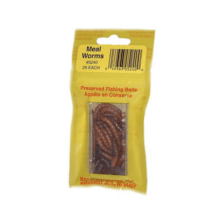 Meal Worms
