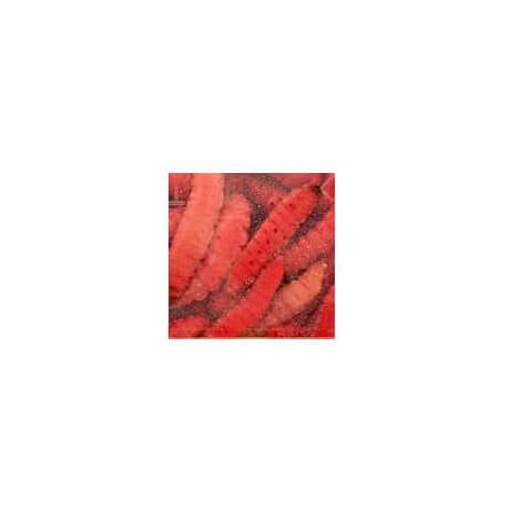 Magic® Preserved Wax Worms