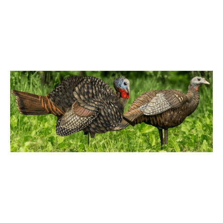 Avian-X Half-Strut Jake and Breeder Turkey Decoy Combo