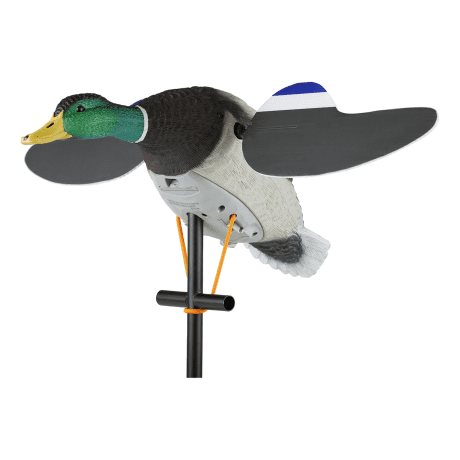 Lucky Duck Lucky Junior II 6V Decoy
