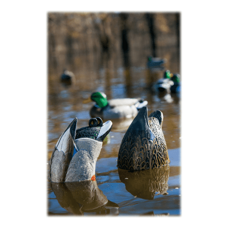 Northern Flight® Full-Feeder II Duck Decoys - In the Field
